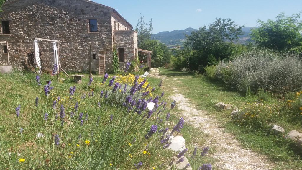 Sasso Erminia R&B Ecosostenibile Novafeltria Exterior photo